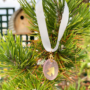 Light pink Dove